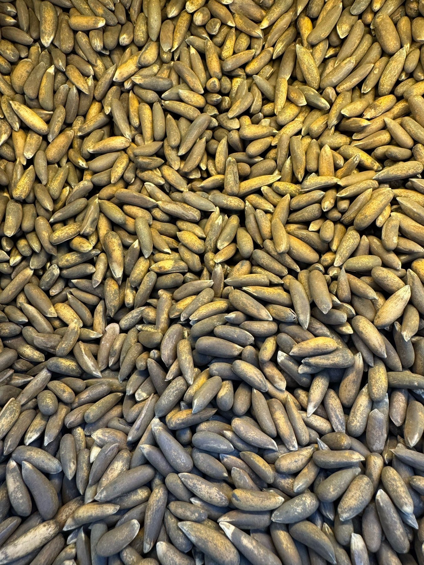 Afghan Pine Nut (28.99/lb)