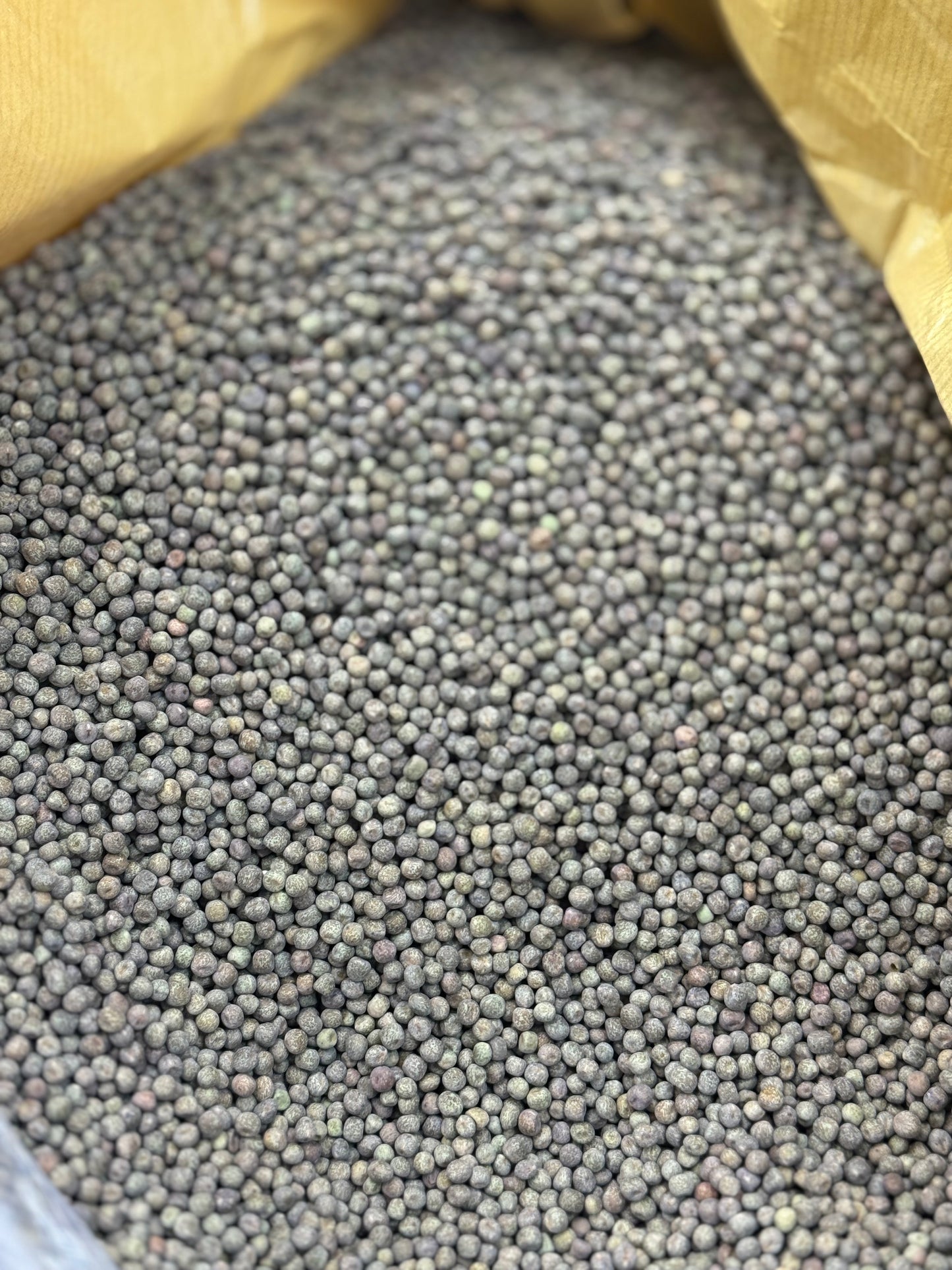 Carlin Peas مشنگ (10.99/lb)