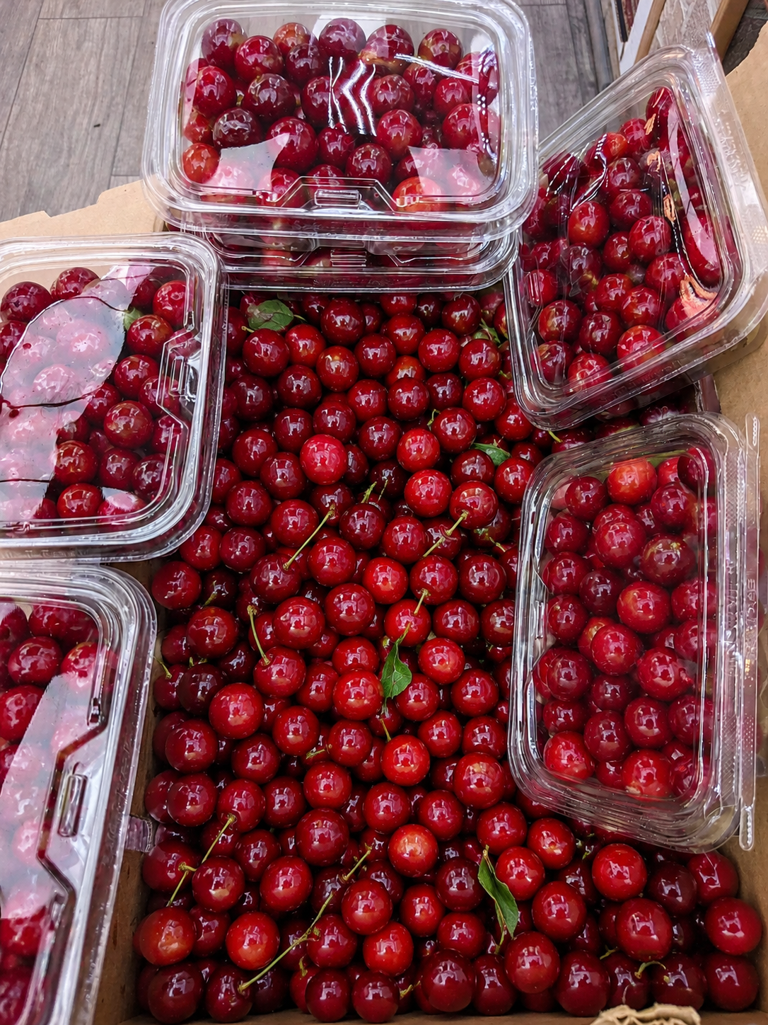 Fresh Sweet Red Cherries (12.99/lb)