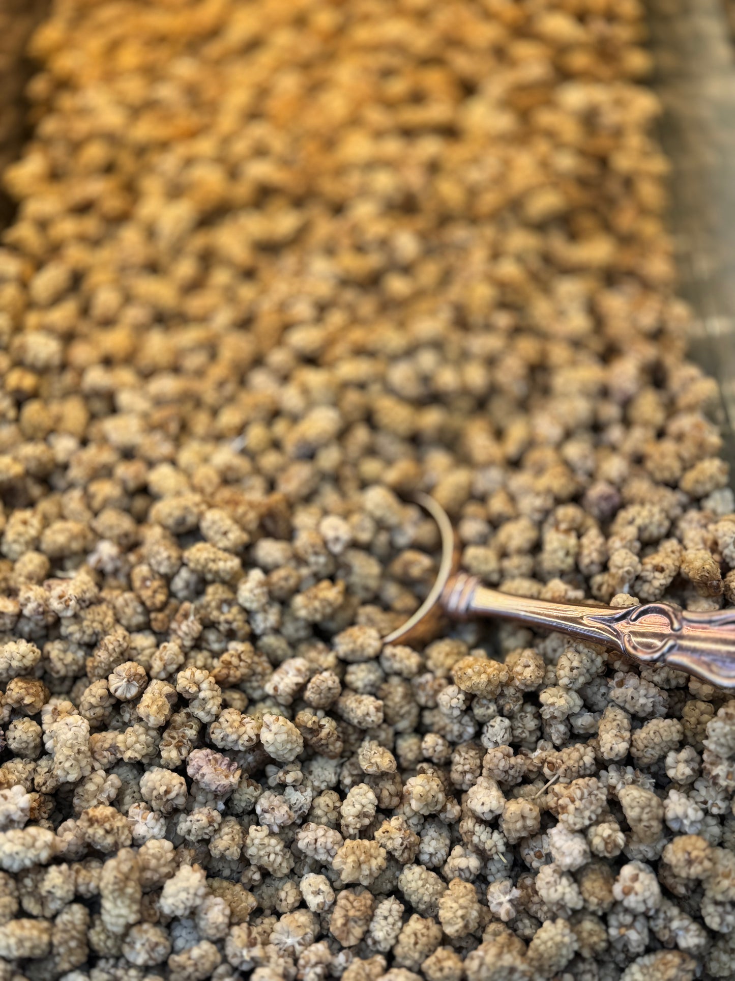 Dried White Mulberries Toot (15.99/lb)