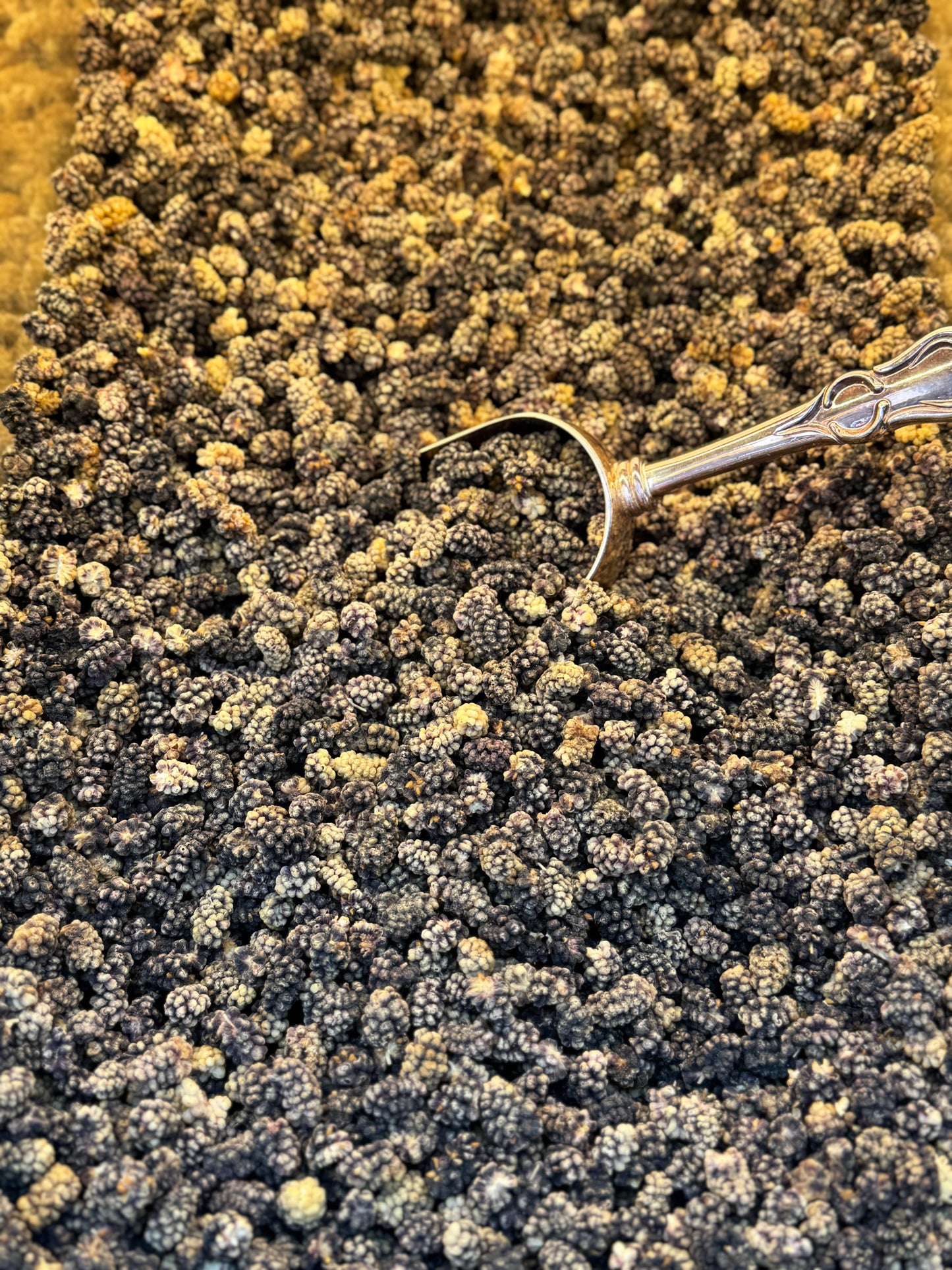 Dried Black Mulberries (15.99/lb)