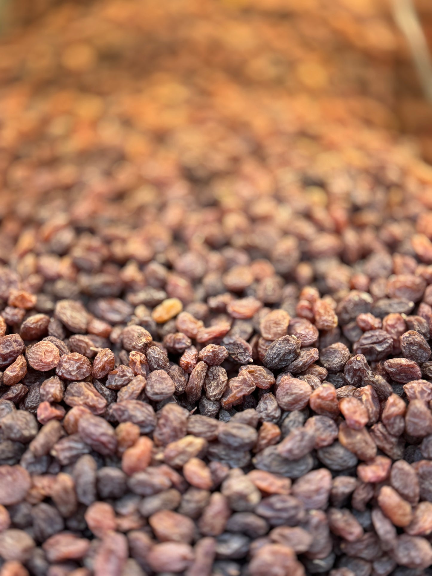 Kishmish-e- Palawi (9.99/lb)کشمش پلوی