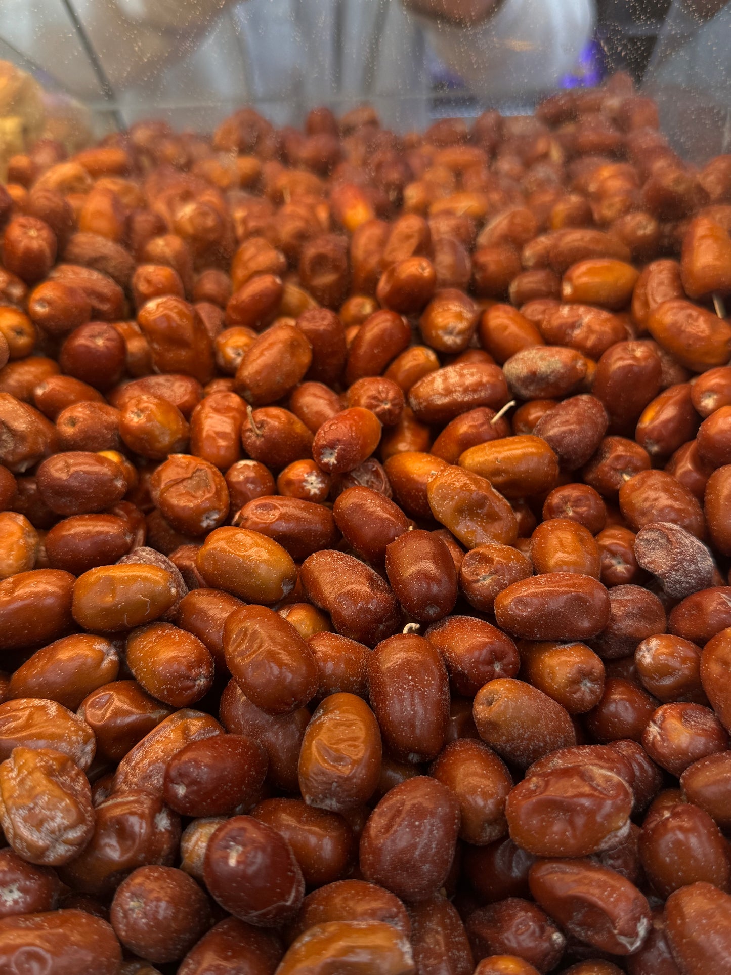 Oleaster/ سنجد خرمایی
