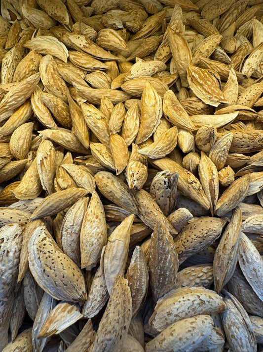 In-Shell Almonds (16.99/lb)