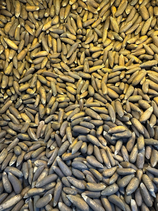 Afghan Pine Nut (28.99/lb)