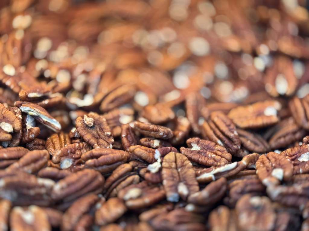 Premium Raw Pecan Halves – Fresh, Natural & Crunchy (19.99/lb)