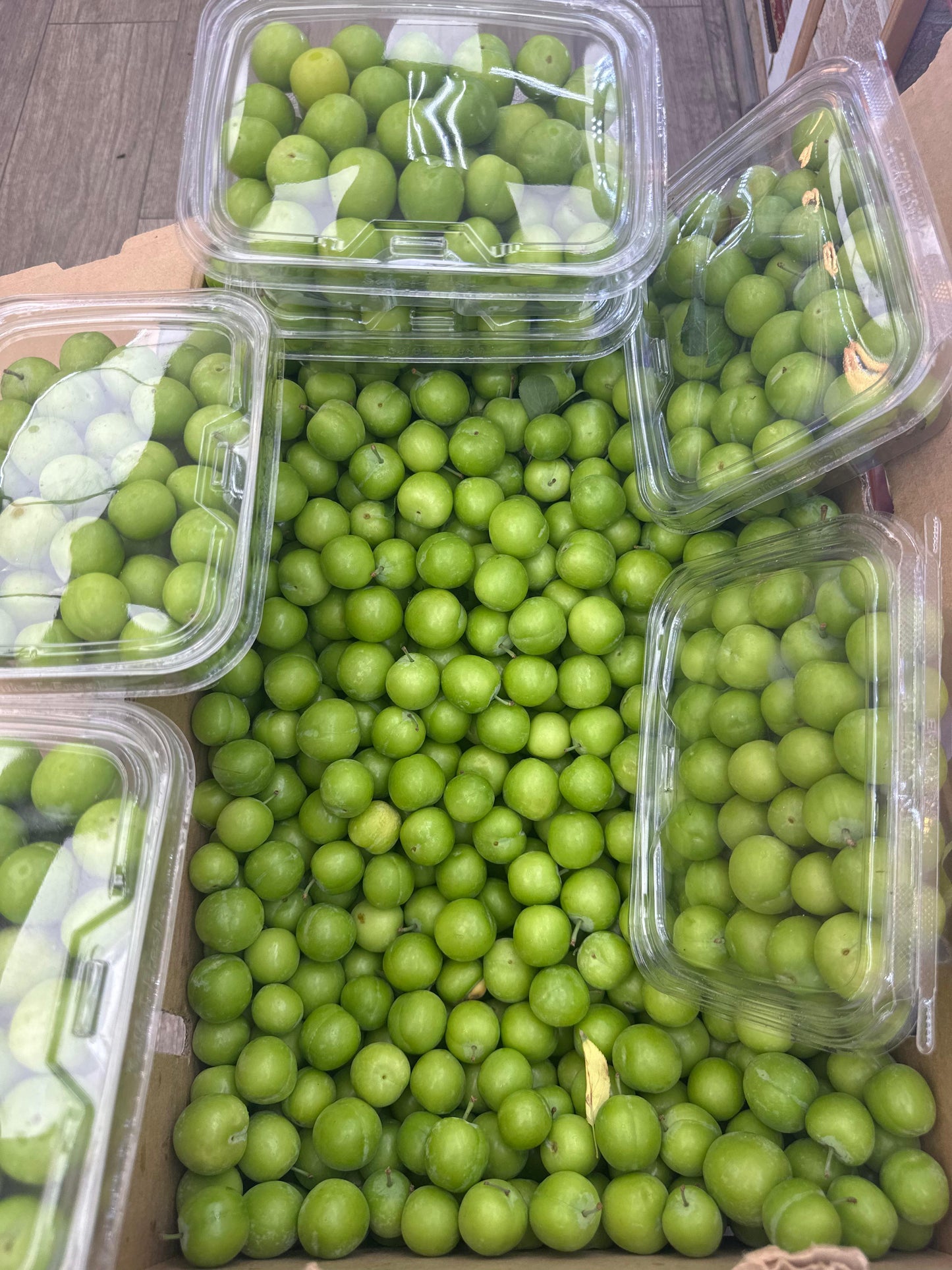 Fresh Sour Green Plums (Alocha Sabz -غوره ترش) 13.99/lb