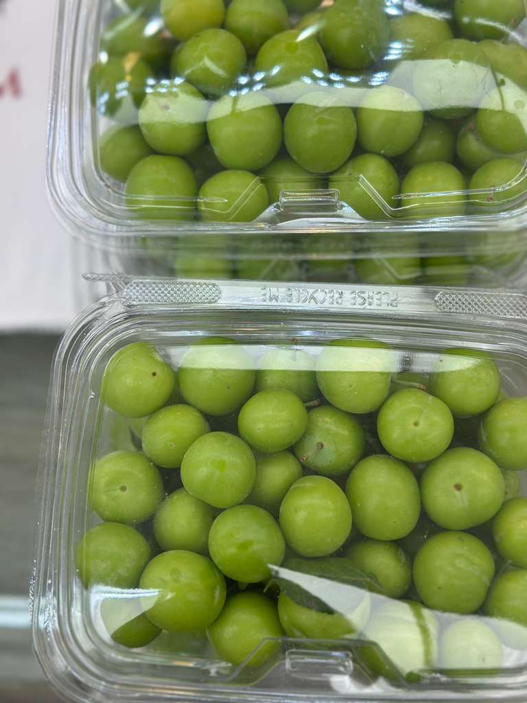 Fresh Sour Green Plums (Alocha Sabz -غوره ترش) 13.99/lb