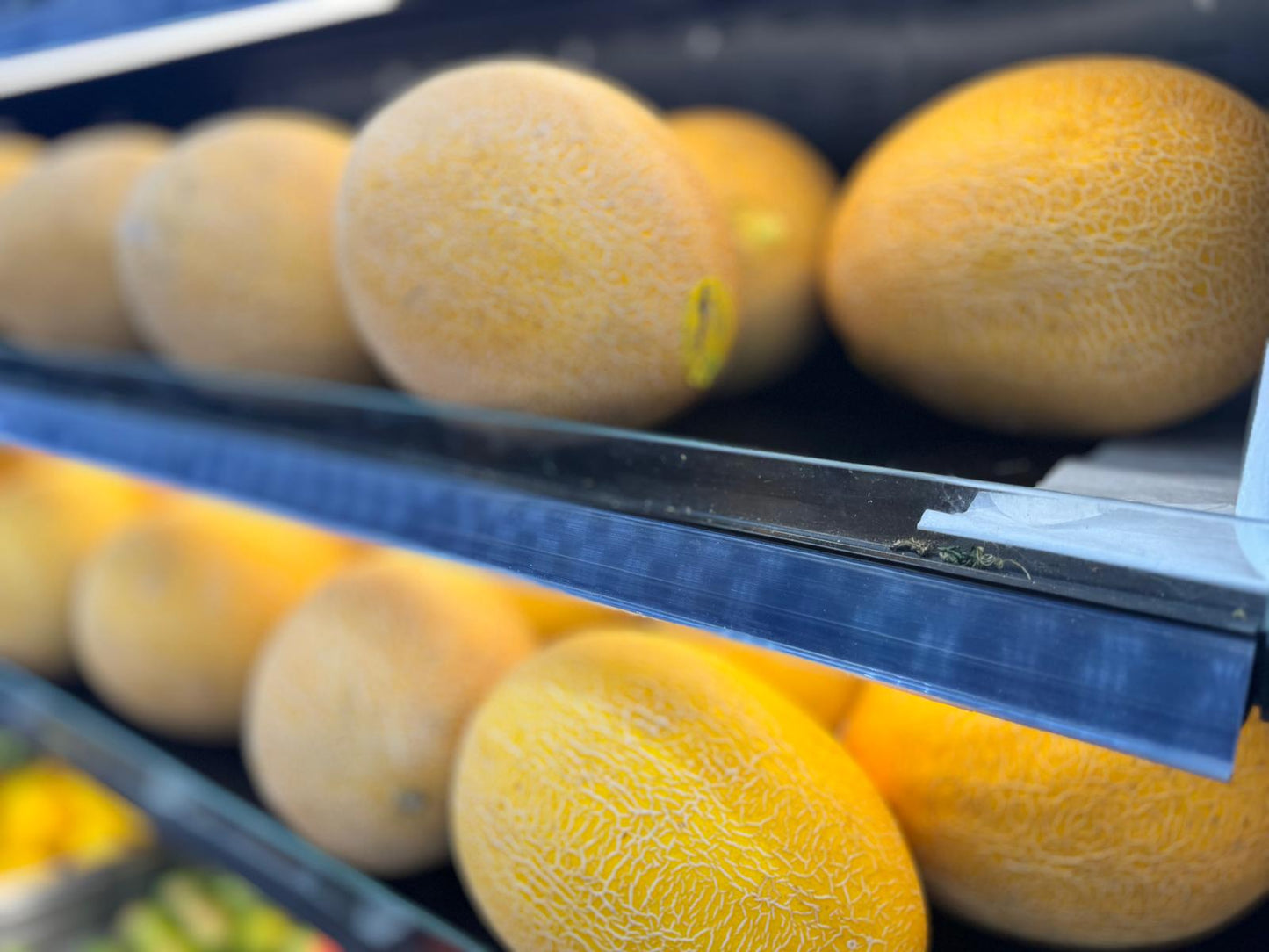 Fresh Canary Melon
