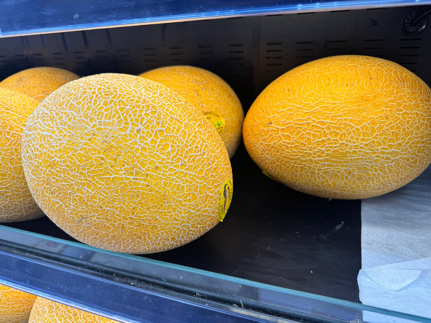 Fresh Canary Melon